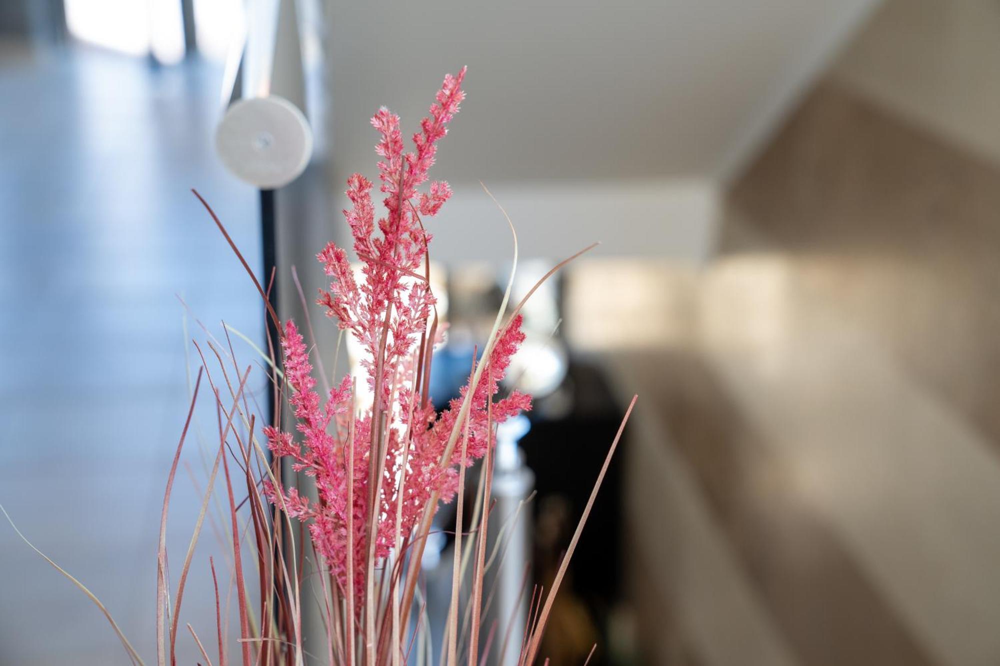 מלון Vellum Luxury Living 2*